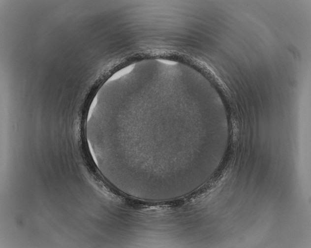 X0000111200447200908121114