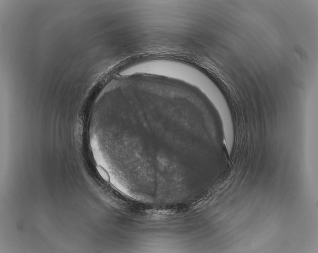 X0000111200448200908121114