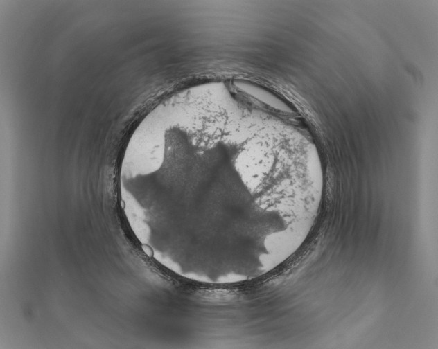 X0000111200449200908121114