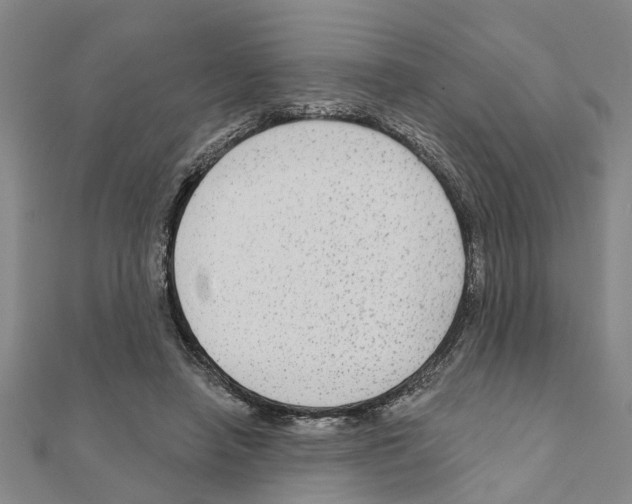 X0000111200450200908121114