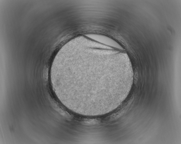 X0000111200454200908121114