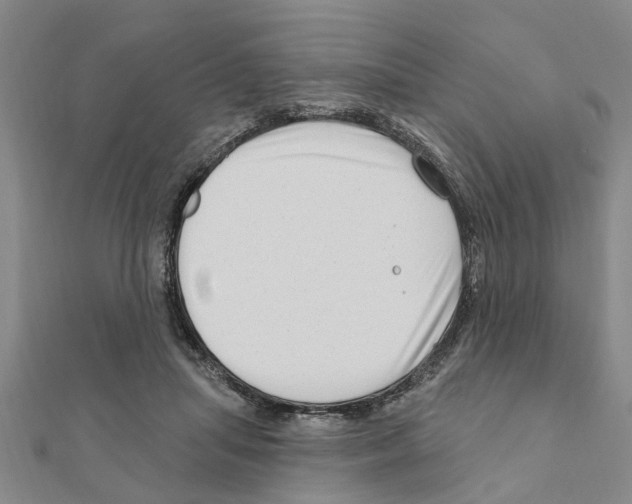 X0000111200455200908121114