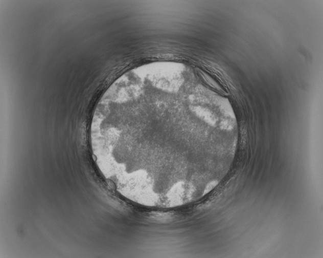 X0000111200457200908121114