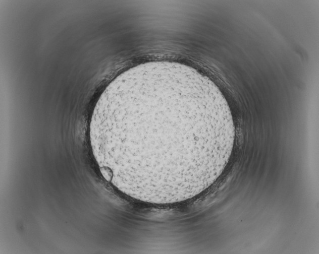 X0000111200458200908121114