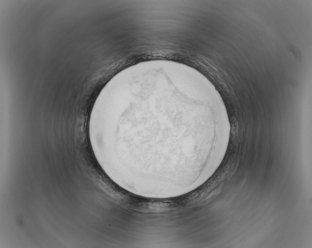 X0000111200462200908121114