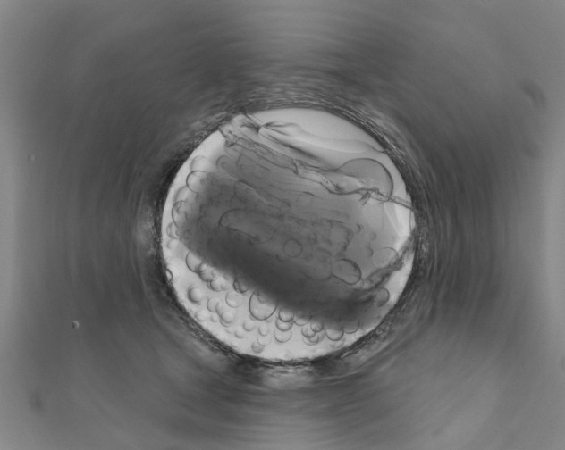 X0000111200465200908121114