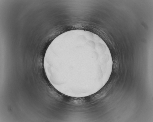 X0000111200466200908121114