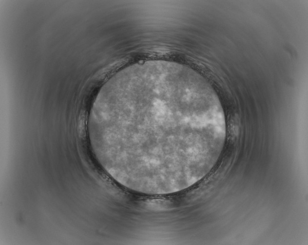 X0000111200468200908121114