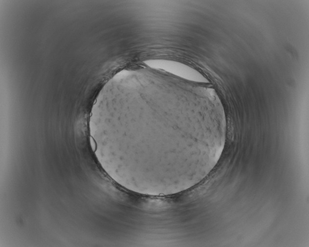 X0000111200475200908121114