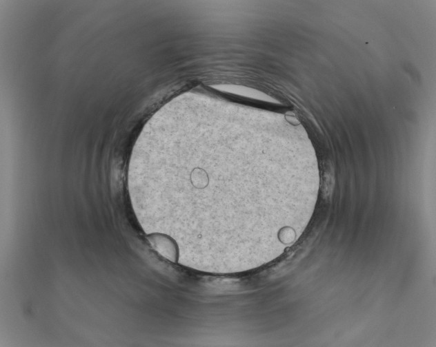 X0000111200476200908121114