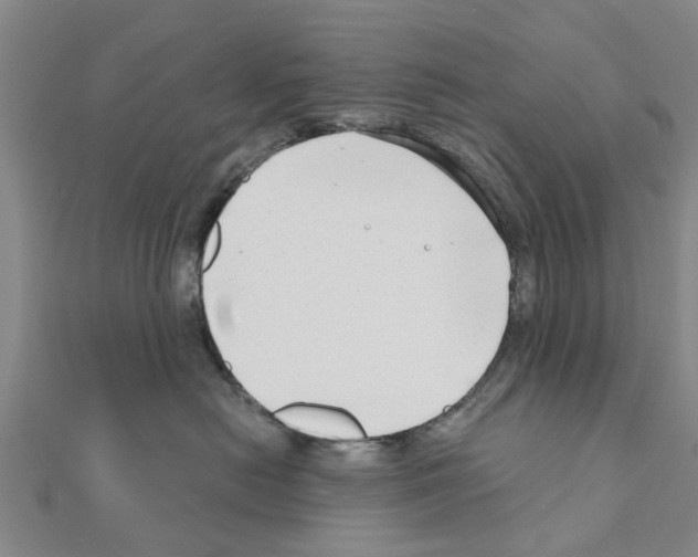 X0000111200478200908121114