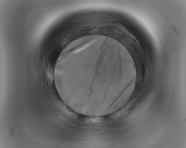 X0000111200479200908121114