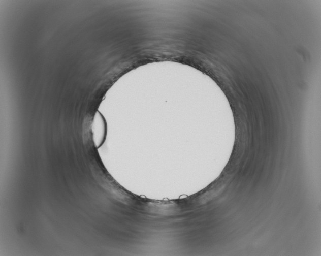 X0000111200480200908121114