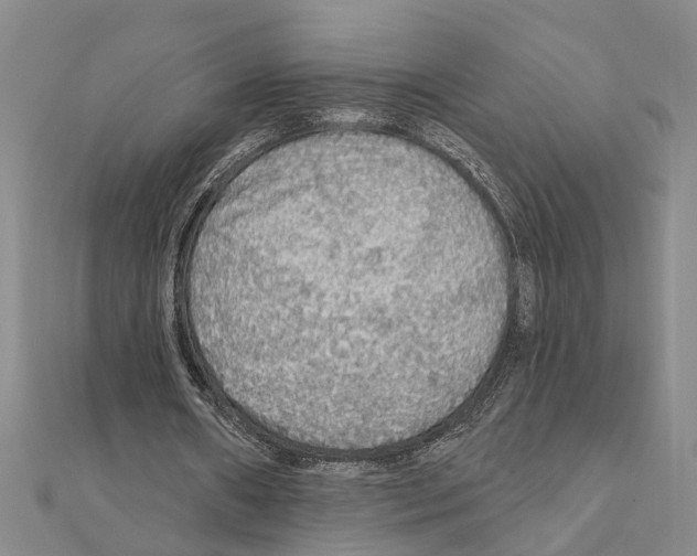 X0000111200482200908121113