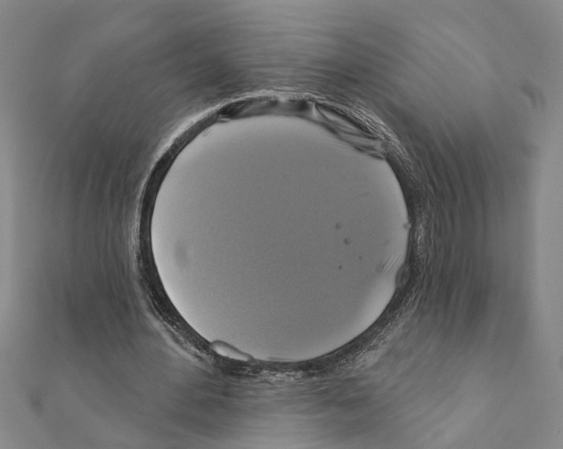 X0000111200484200908121113