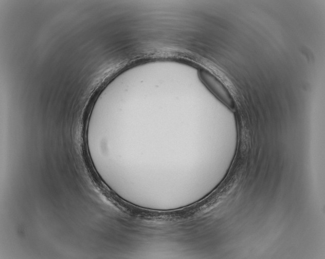 X0000111200485200908121113