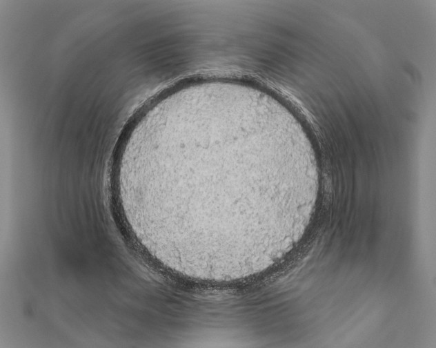 X0000111200487200908121113