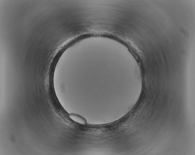 X0000111200488200908121113