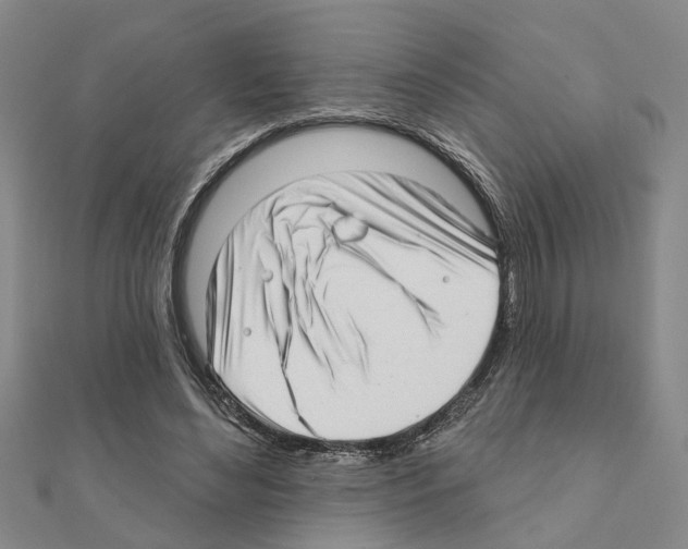 X0000111200492200908121113