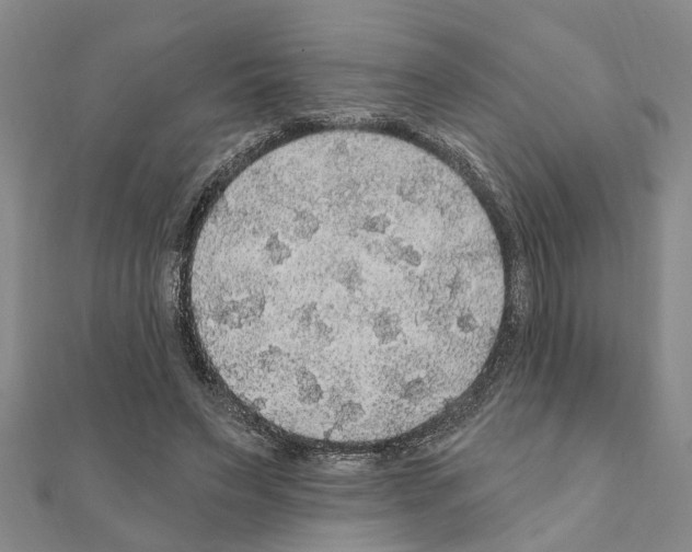 X0000111200495200908121113