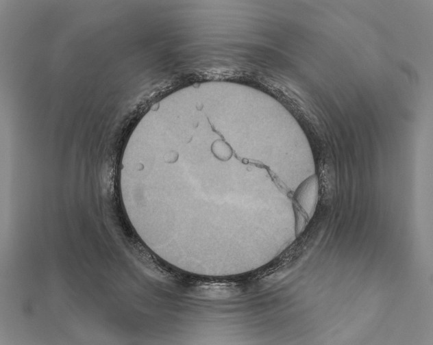 X0000111200499200908121113