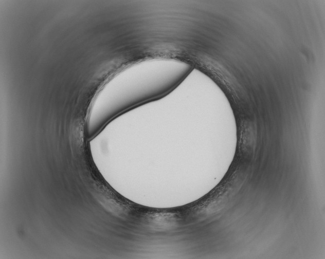 X0000111200501200908121113