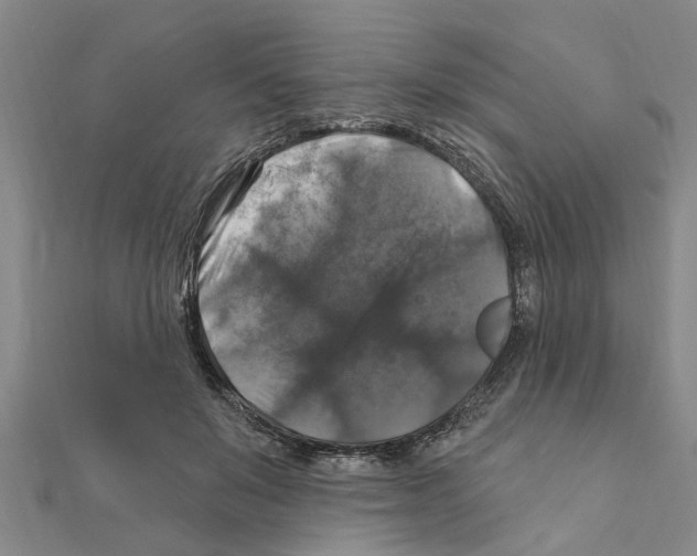 X0000111200503200908121113