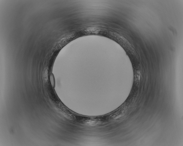 X0000111200504200908121113