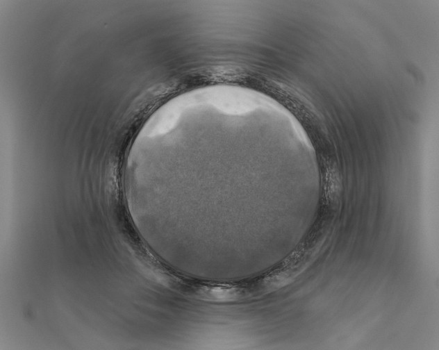 X0000111200506200908121113