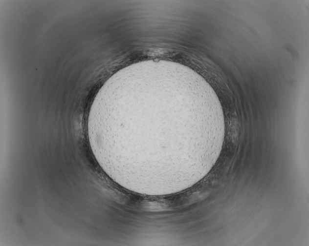 X0000111200510200908121113