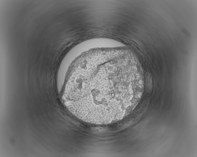 X0000111200511200908121113