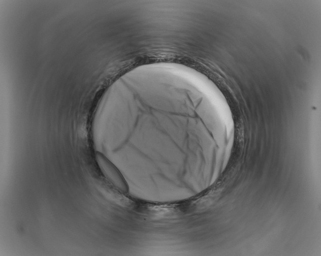 X0000111200516200908121113