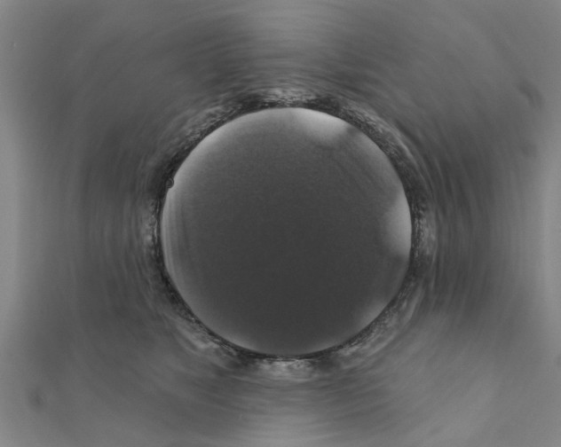 X0000111200517200908121113