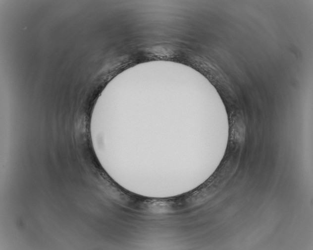 X0000111200518200908121113