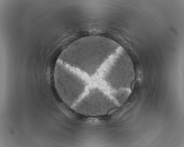 X0000111200519200908121113