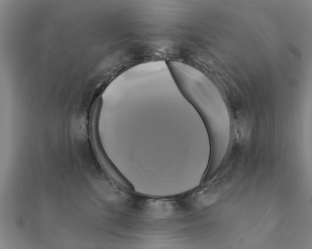 X0000111200520200908121113