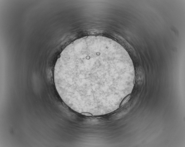 X0000111200523200908121113