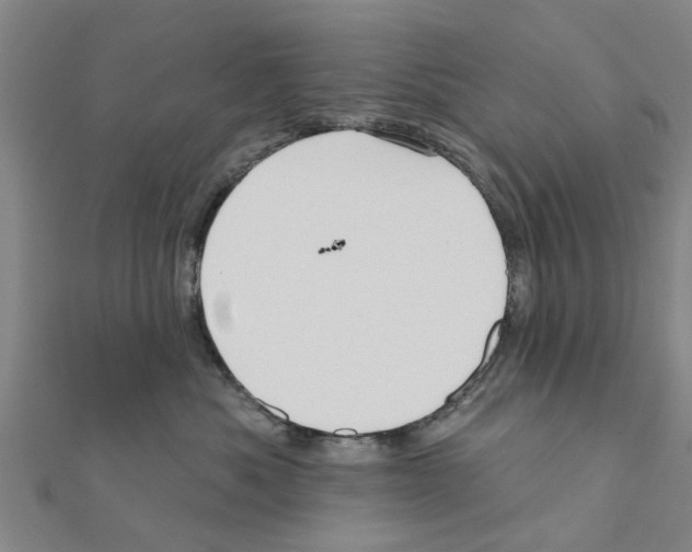 X0000111200525200908121113