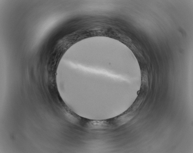 X0000111200526200908121113