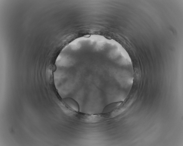 X0000111200527200908121113