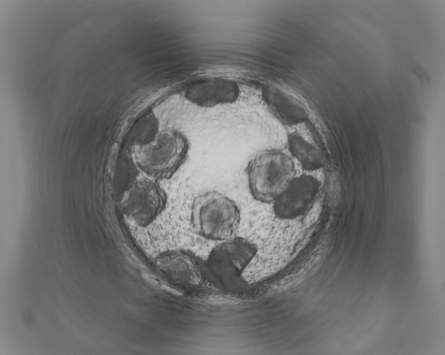 X0000111200529200908121112