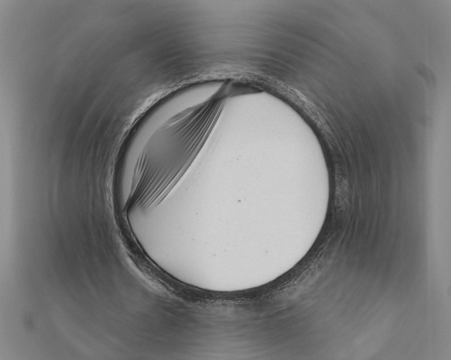 X0000111200530200908121112