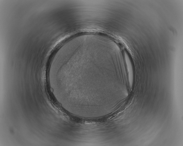 X0000111200531200908121112