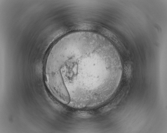 X0000111200534200908121112