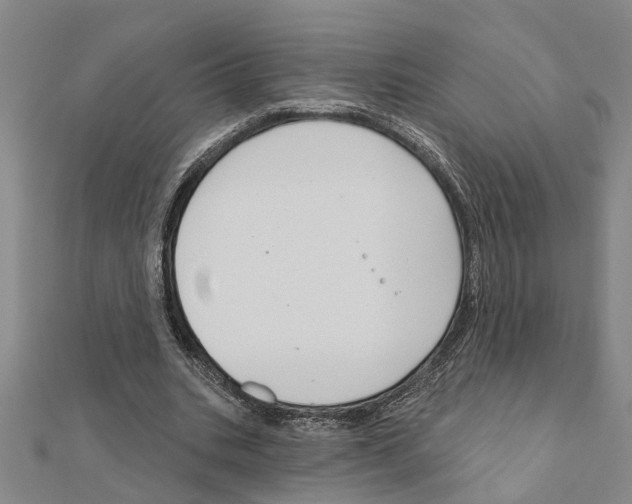 X0000111200535200908121112