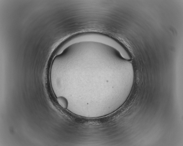 X0000111200536200908121112