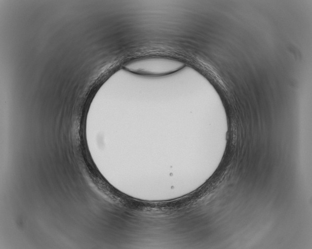 X0000111200538200908121112