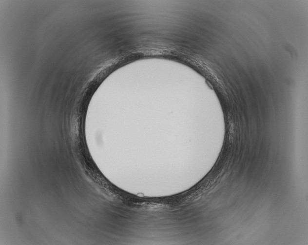 X0000111200539200908121112