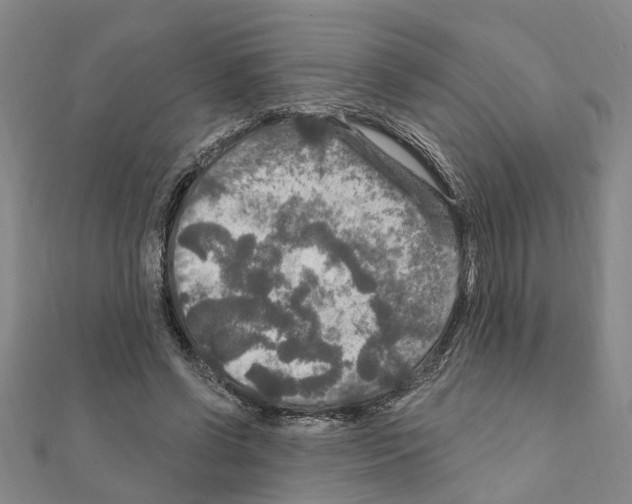 X0000111200542200908121112