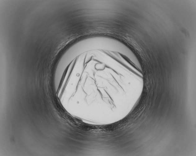 X0000111200544200908121112